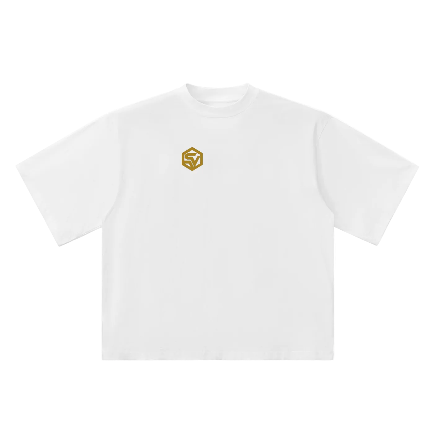 Redacted — Oversized Drop Shoulder Tee | Classified File Graphic Streetwear T-Shirt (250 GMS)