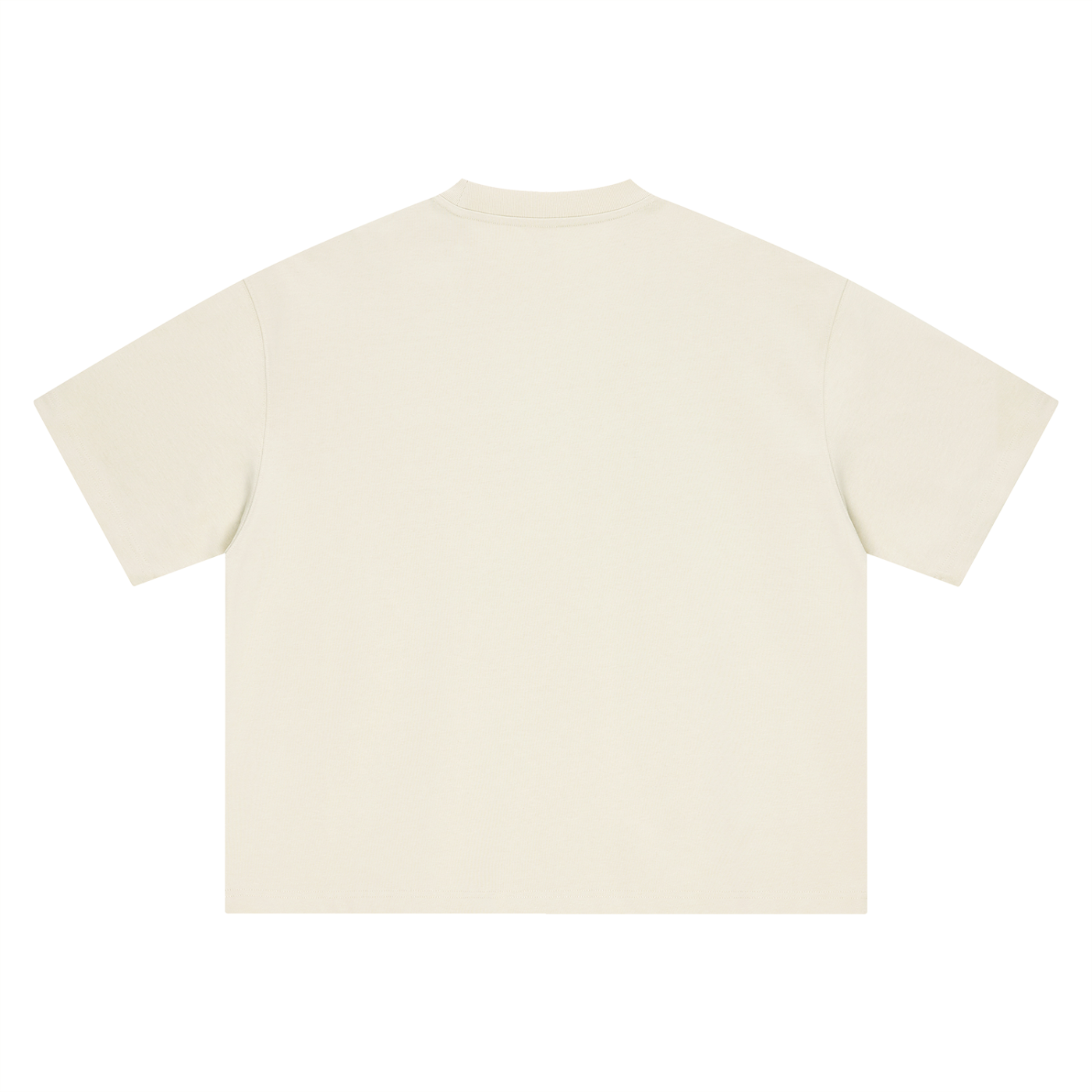 Boarding Pass — Boxy Oversized Tee | SV Air Ticket-Stub Graphic Streetwear T-Shirt (400 GMS)