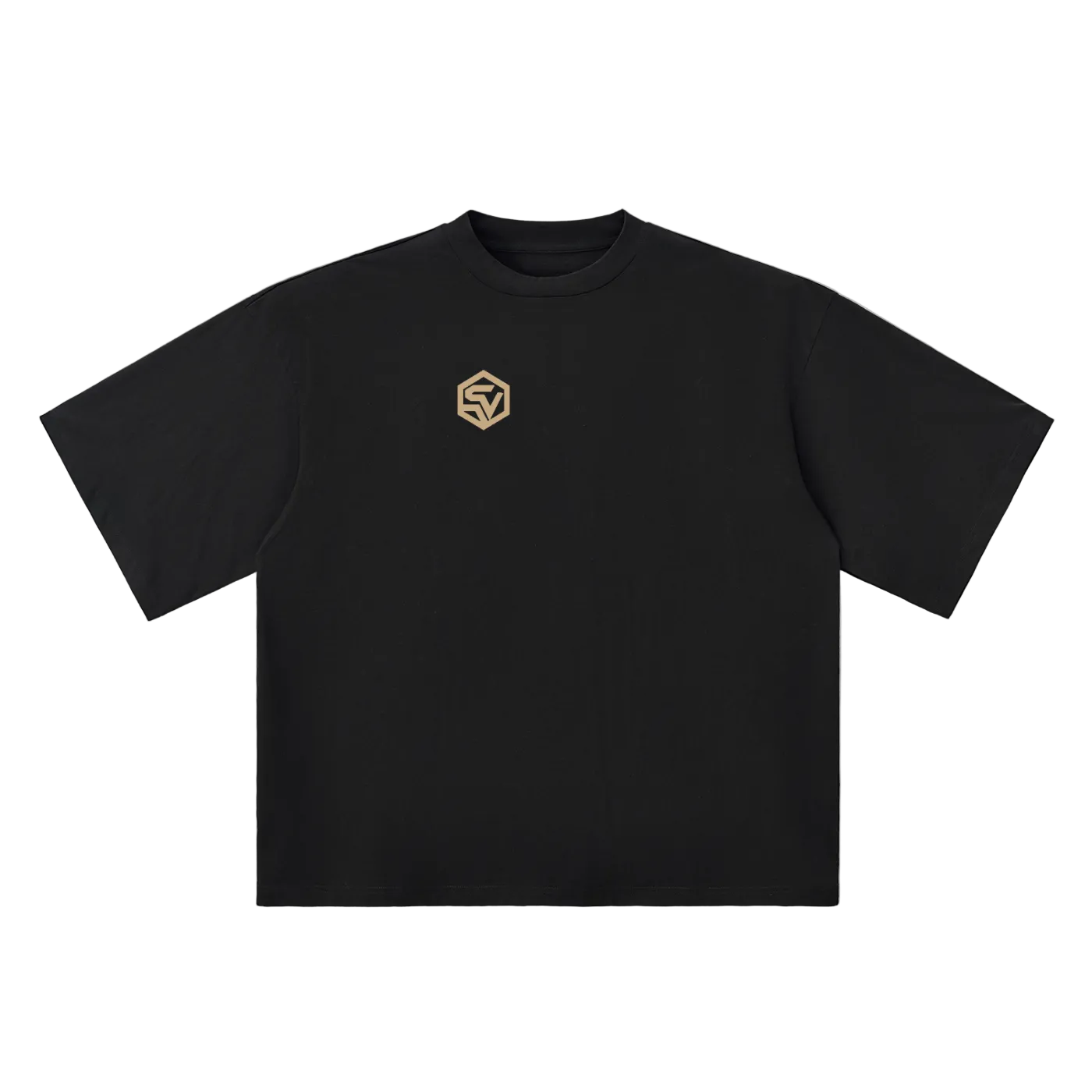Redacted — Oversized Drop Shoulder Tee | Classified File Graphic Streetwear T-Shirt (250 GMS)