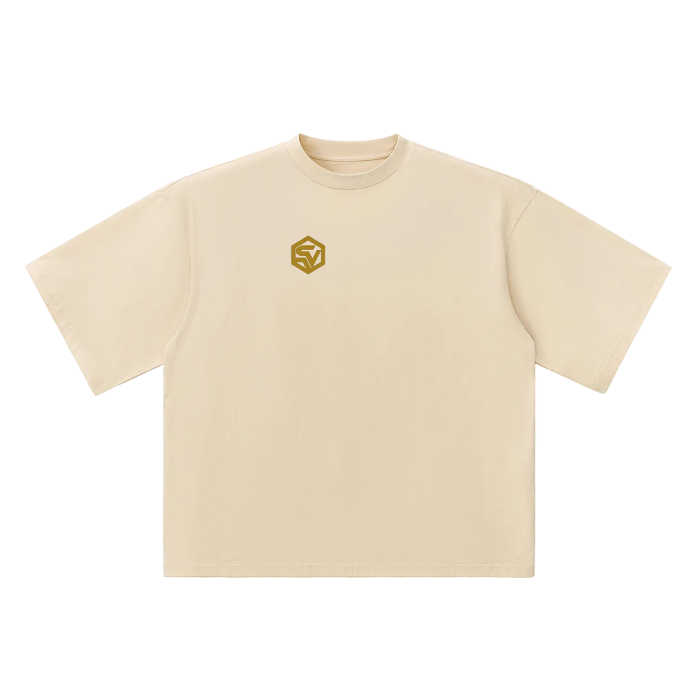 Redacted — Oversized Drop Shoulder Tee | Classified File Graphic Streetwear T-Shirt (250 GMS)